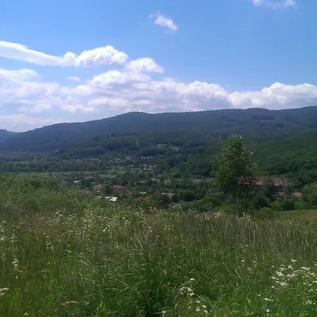 Homestay Khomenko Perechin Exterior photo